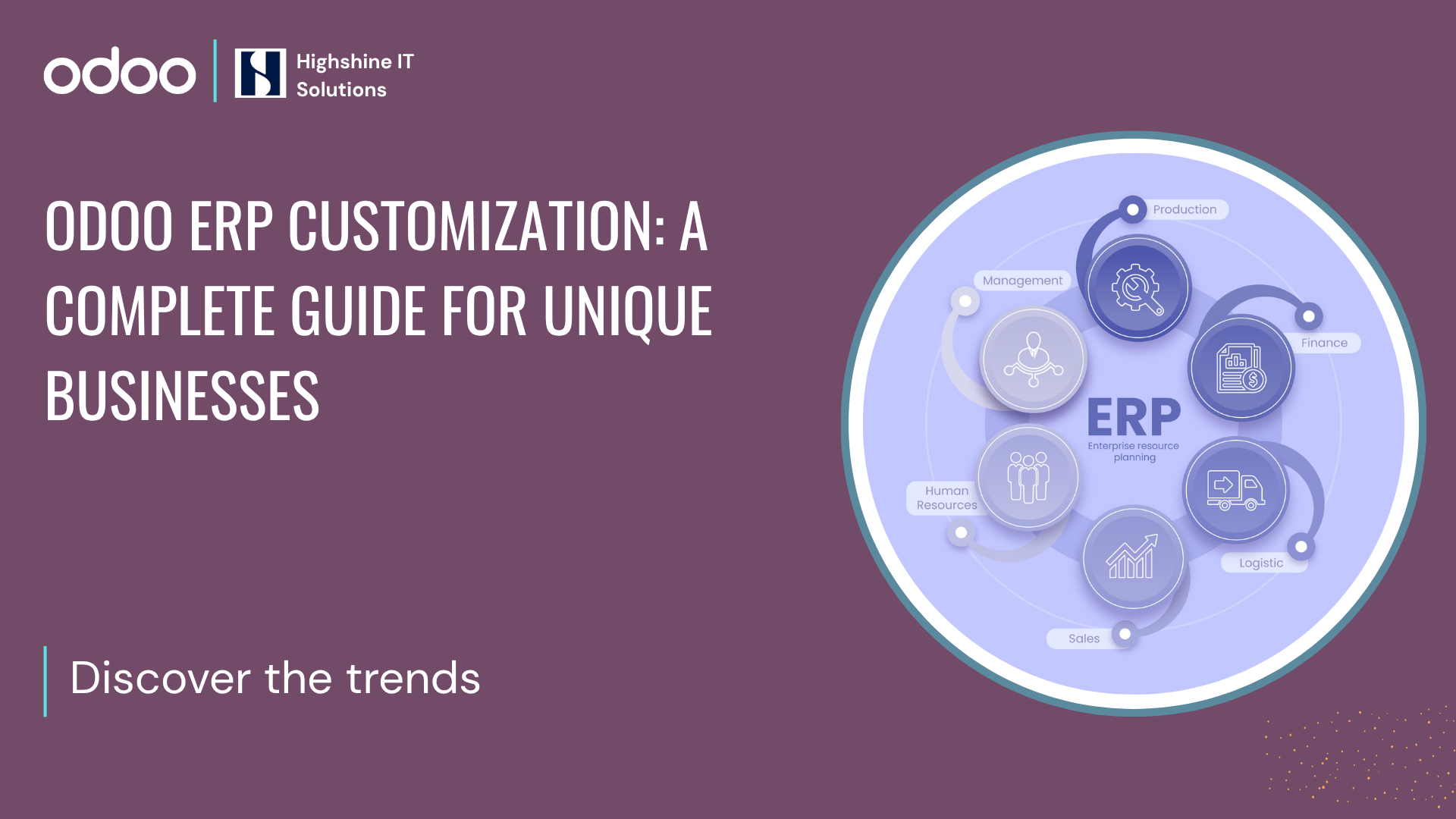 Odoo ERP Customization for unique businesses